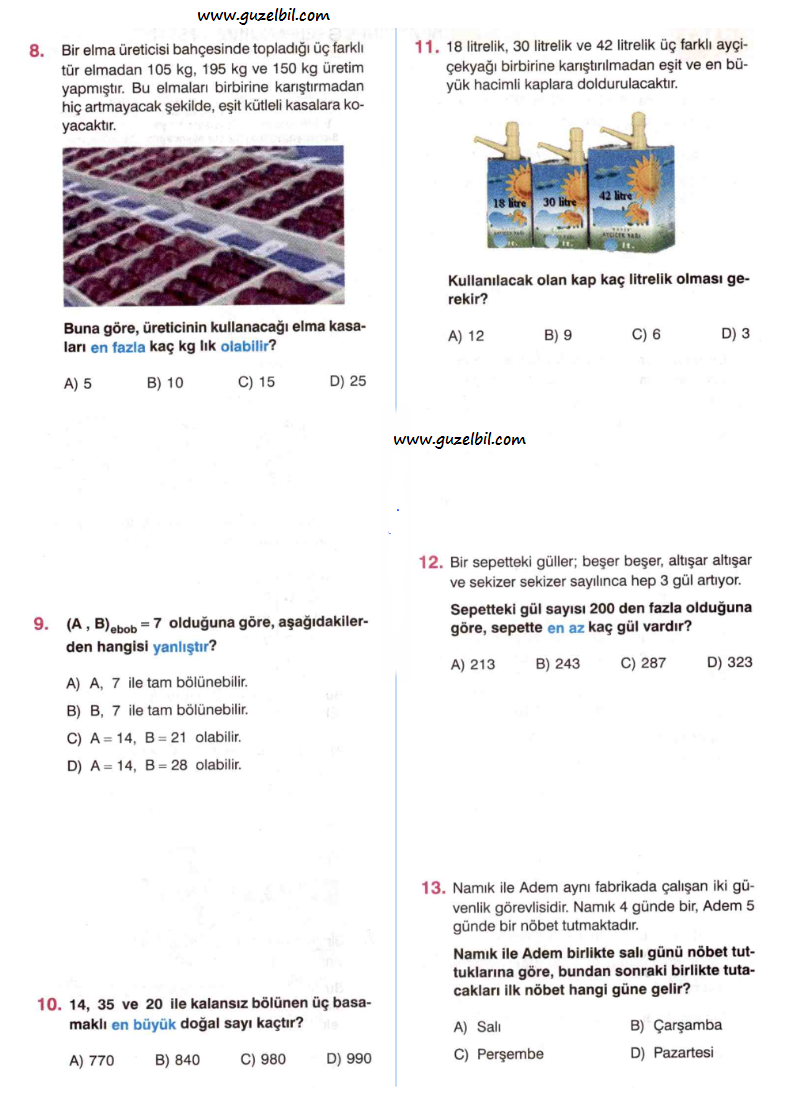 ekok ve ebob test 3