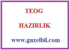 Hazırlık 8.Sınıf Türkçe fiilimsiler konu testi ve cevapları Teog