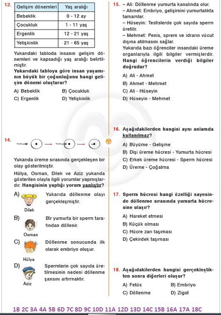 Teog Hazırlık İnsanlarda Üreme Büyüme Ve Gelişme 