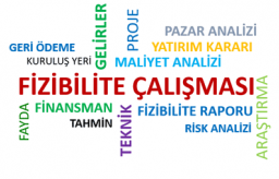 Fizibilite nedir,Fizibilite ne demektir,Fizibilite anlamı ve açıklaması