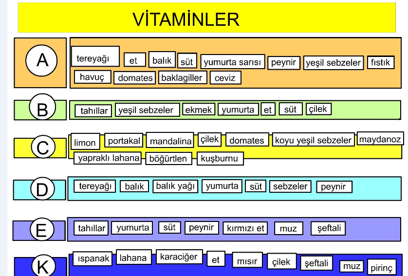 5.Sınıf Fen Bilimleri Vitaminler Çizelgesi besin vitamin eşleşmesi