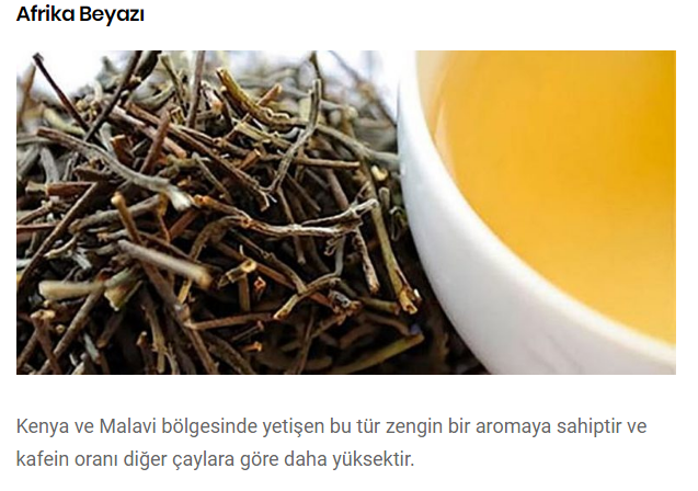 Beyaz Çay Nedir,Nerede Yetişir,Faydaları Nelerdir,Beyaz Çayın Fiyatı Nedir?