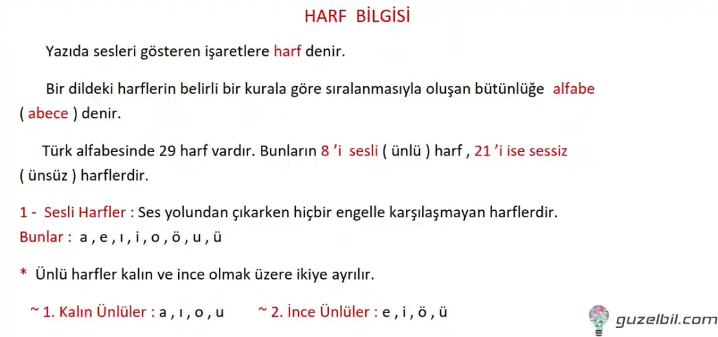 3.Sınıf Türkçe Harf Ve Hece Bilgisi Çalışma Sayfaları
