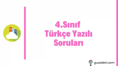 4.Sınıf Türkçe Yazılı ve Sınav Soruları