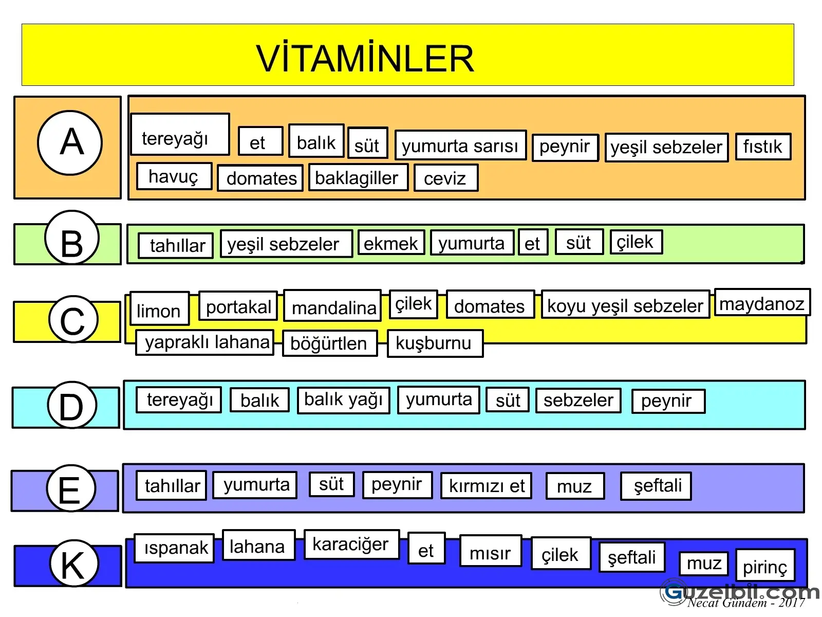 5.Sınıf Fen Bilimleri Vitaminler Çizelgesi