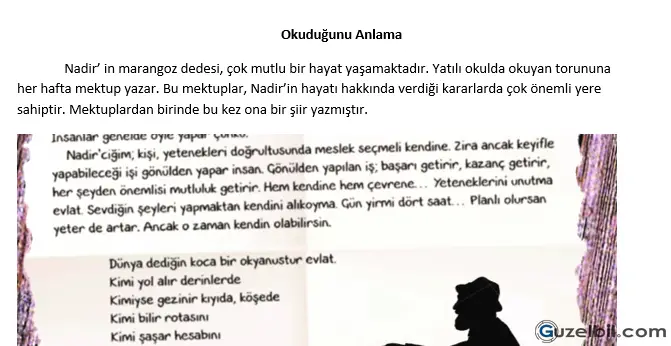 5.Sınıf Türkçe Okuduğunu Anlama Şiir Ve Soruları