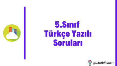 5.Sınıf Türkçe Yazılı Soruları