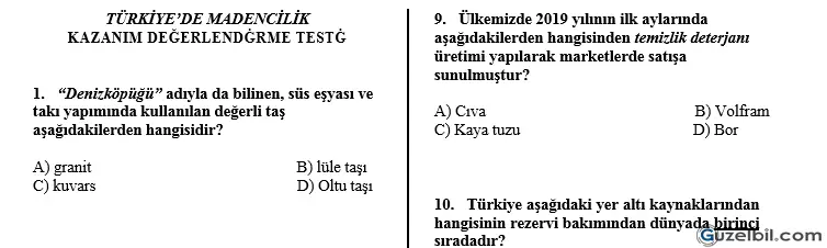 6.Sınıf Türkiye'de Madencilik Kazanım Değerlendirme Testi