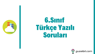 6.Sınıf Türkçe Yazılı Soruları