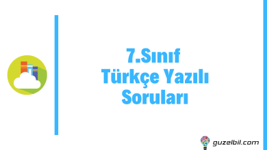 7.Sınıf Türkçe Yazılı Soruları