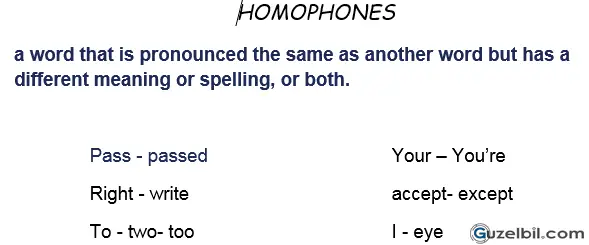 7.Sınıf İngilizce Homophones & Polysemy Çalışma Kağıdı