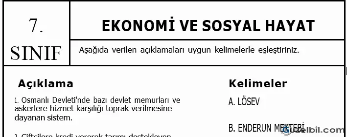 7.Sınıf Sosyal Bilgiler Ekonomi Ve Sosyal Hayat Konu Etkinliği