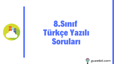 8.Sınıf Türkçe Yazılı Soruları